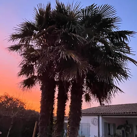 Escapades Oceanes Ile De Re La Rochelle Frühstückspension