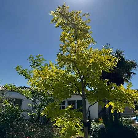 Escapades Oceanes Ile De Re La Rochelle Frühstückspension Sainte-Marie-de-Ré