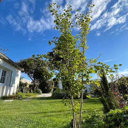 Escapades Océanes Ile De Ré La Rochelle Sainte-Marie-de-Ré