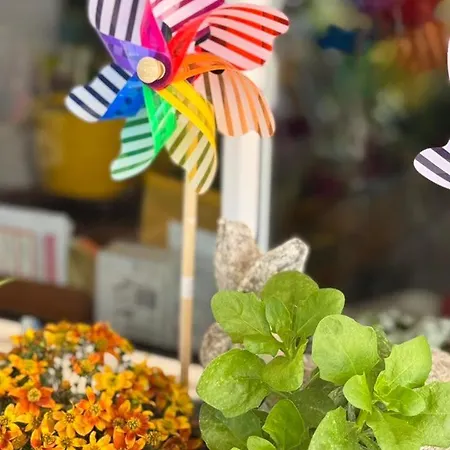 Couette-café Escapades Océanes Ile De Ré La Rochelle 3*