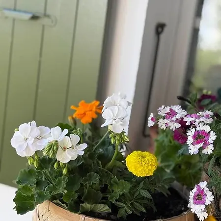 Escapades Océanes Ile De Ré La Rochelle Sainte-Marie-de-Ré